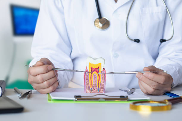 Best Knocked-Out Tooth (Avulsed Tooth) Treatment in , PA